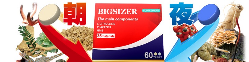 �j������T�v���y�r�b�O�T�C�U�[�z
���T�C�g