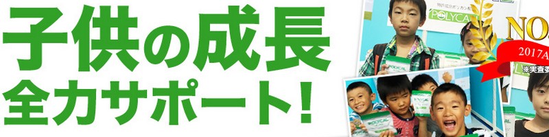 �q���̐����T�v�������g�y�|���J���z���T�C�g